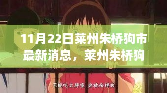 莱州朱桥狗市深度评测与最新动态报告，市场概览与体验报告（11月22日）