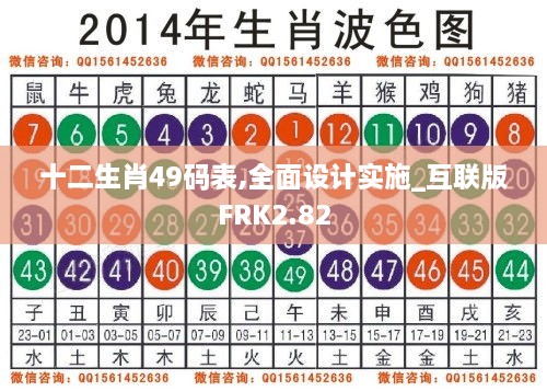 十二生肖49码表,全面设计实施_互联版FRK2.82