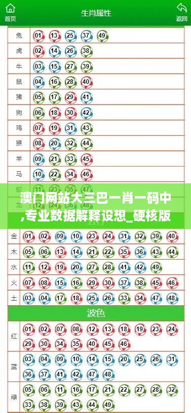 澳门网站大三巴一肖一码中,专业数据解释设想_硬核版CFS2.60