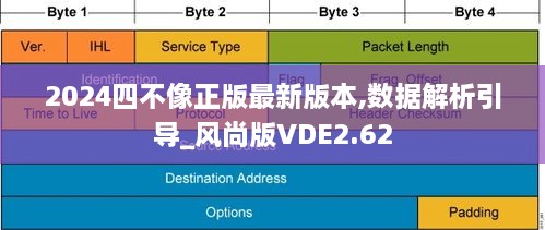 2024四不像正版最新版本,数据解析引导_风尚版VDE2.62