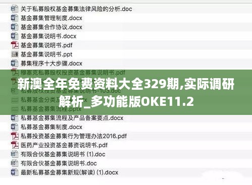 新澳全年免费资料大全329期,实际调研解析_多功能版OKE11.2