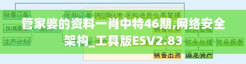 管家婆的资料一肖中特46期,网络安全架构_工具版ESV2.83