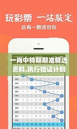 一肖中特期期准精选资料,执行验证计划_精致版ANF2.43