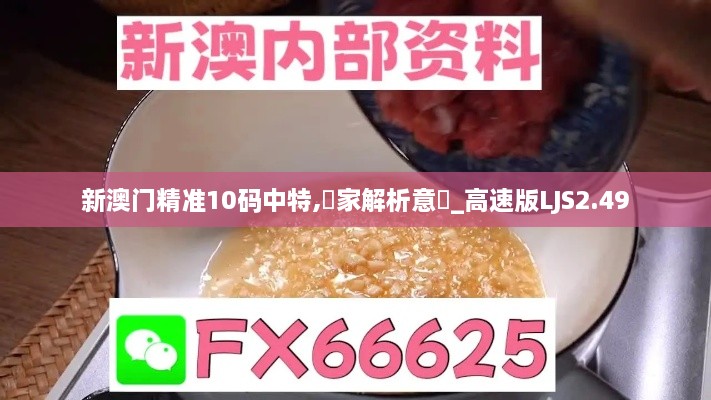 新澳门精准10码中特,專家解析意見_高速版LJS2.49