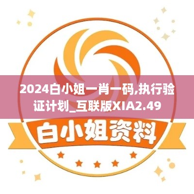 2024白小姐一肖一码,执行验证计划_互联版XIA2.49