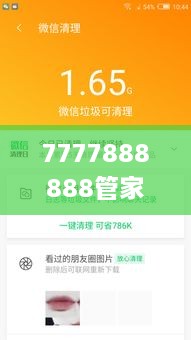 7777888888管家精准管家婆免费331期,设计规划引导方式_经典版CPY11.94