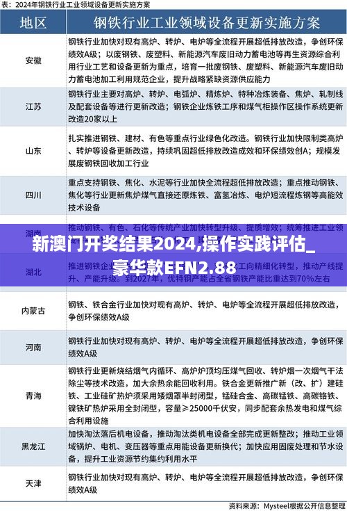 新澳门开奖结果2024,操作实践评估_豪华款EFN2.88