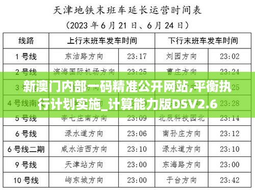 新澳门内部一码精准公开网站,平衡执行计划实施_计算能力版DSV2.6