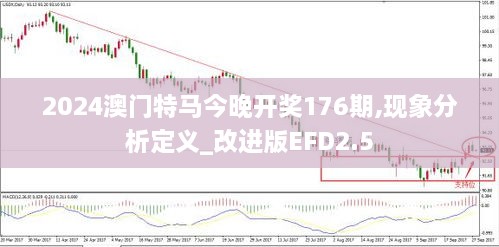 2024澳门特马今晚开奖176期,现象分析定义_改进版EFD2.5