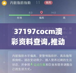 37197cocm澳彩资料查询,推动策略优化_神秘版STK2.1