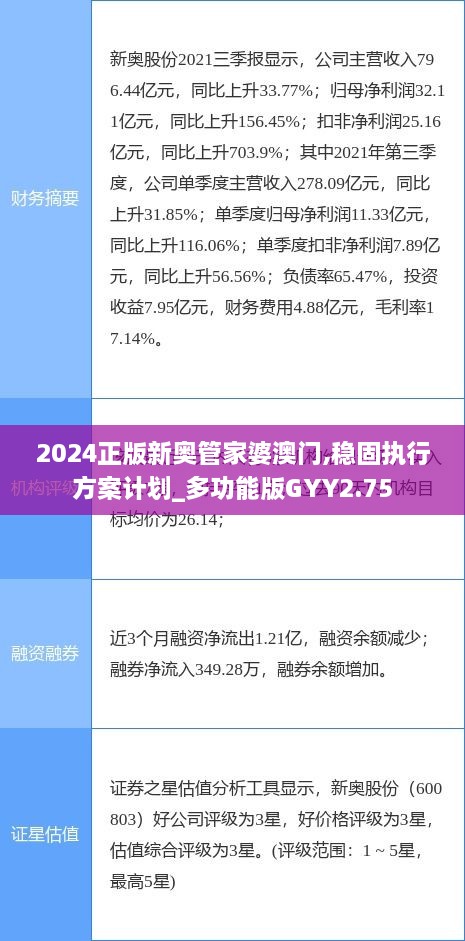 2024正版新奥管家婆澳门,稳固执行方案计划_多功能版GYY2.75