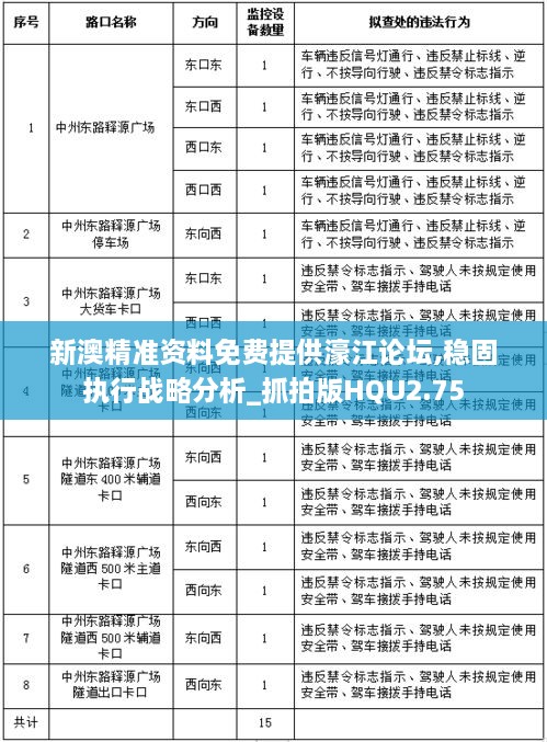 新澳精准资料免费提供濠江论坛,稳固执行战略分析_抓拍版HQU2.75