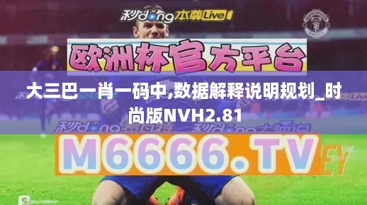 大三巴一肖一码中,数据解释说明规划_时尚版NVH2.81