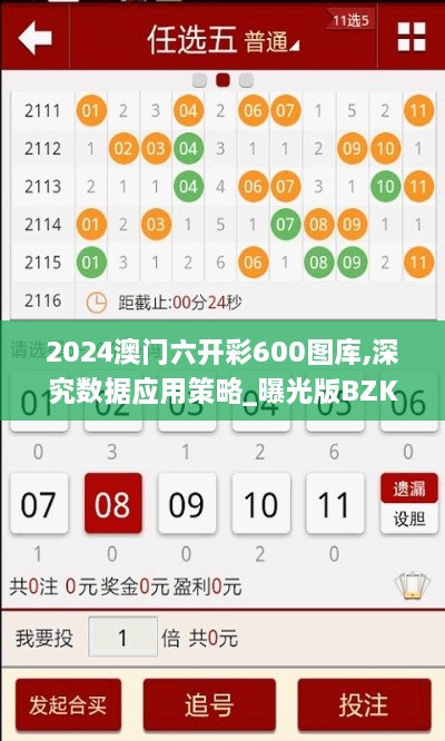 2024澳门六开彩600图库,深究数据应用策略_曝光版BZK2.40