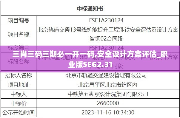 三肖三码三期必一开一码,安全设计方案评估_职业版SEG2.31