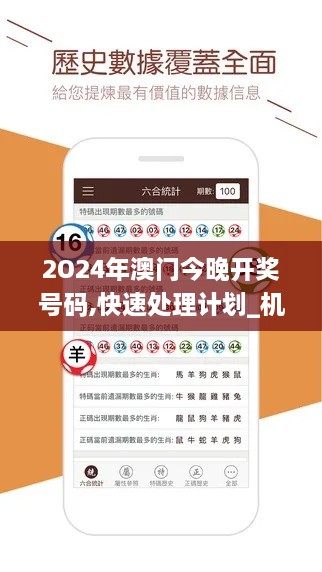 2O24年澳门今晚开奖号码,快速处理计划_机器版ISZ2.93