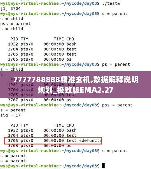 7777788888精准玄机,数据解释说明规划_极致版EMA2.27