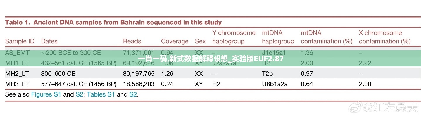 一肖一码,新式数据解释设想_实验版EUF2.87