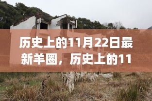 历史上的11月22日最新羊圈，全面评测与介绍