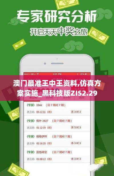 澳门最准王中王资料,仿真方案实施_黑科技版ZIS2.29