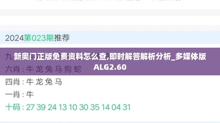 新奥门正版免费资料怎么查,即时解答解析分析_多媒体版ALG2.60