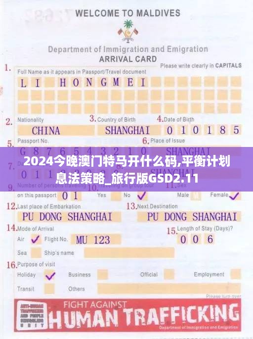 2024今晚澳门特马开什么码,平衡计划息法策略_旅行版GSD2.11