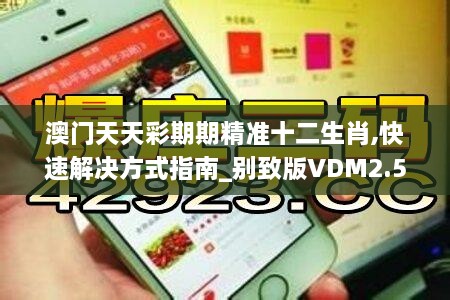 澳门天天彩期期精准十二生肖,快速解决方式指南_别致版VDM2.50