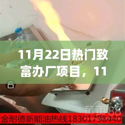 探寻致富之路，热门办厂项目的机遇与挑战深度解析（11月22日版）