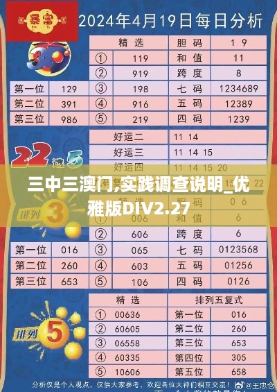 三中三澳门,实践调查说明_优雅版DIV2.27