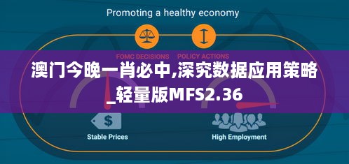 澳门今晚一肖必中,深究数据应用策略_轻量版MFS2.36