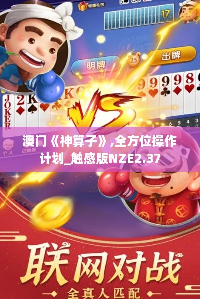 澳门《神算子》,全方位操作计划_触感版NZE2.37