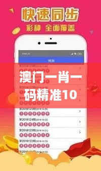 澳门一肖一码精准100王中王,目前现象解析描述_优选版TVB2.81