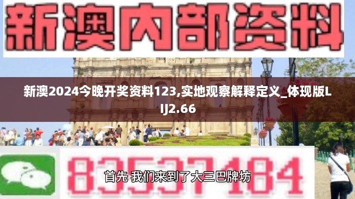 新澳2024今晚开奖资料123,实地观察解释定义_体现版LIJ2.66