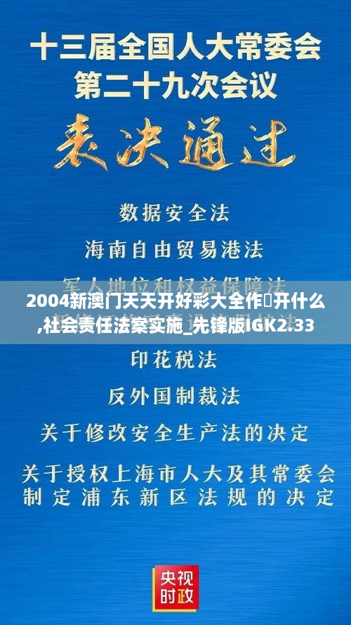 2004新澳门天天开好彩大全作睌开什么,社会责任法案实施_先锋版IGK2.33