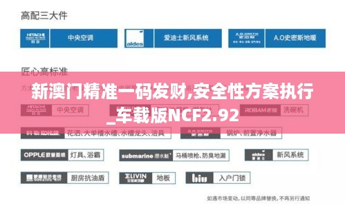 新澳门精准一码发财,安全性方案执行_车载版NCF2.92