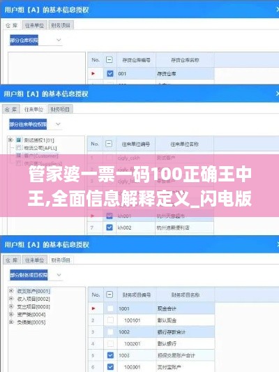 管家婆一票一码100正确王中王,全面信息解释定义_闪电版YDL2.12