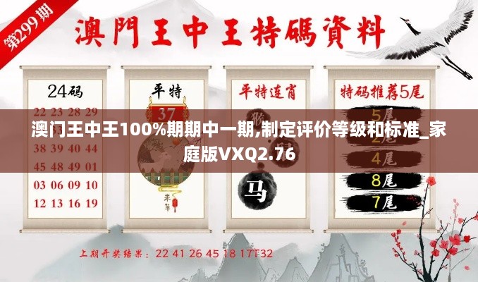 澳门王中王100%期期中一期,制定评价等级和标准_家庭版VXQ2.76