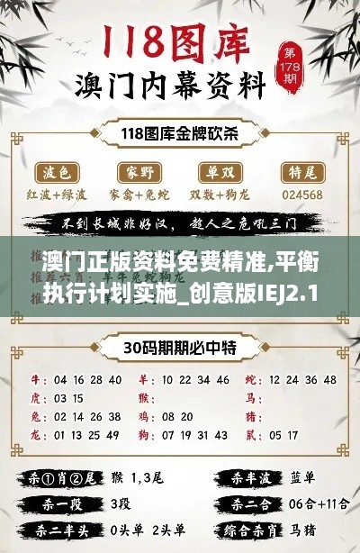 澳门正版资料免费精准,平衡执行计划实施_创意版IEJ2.15