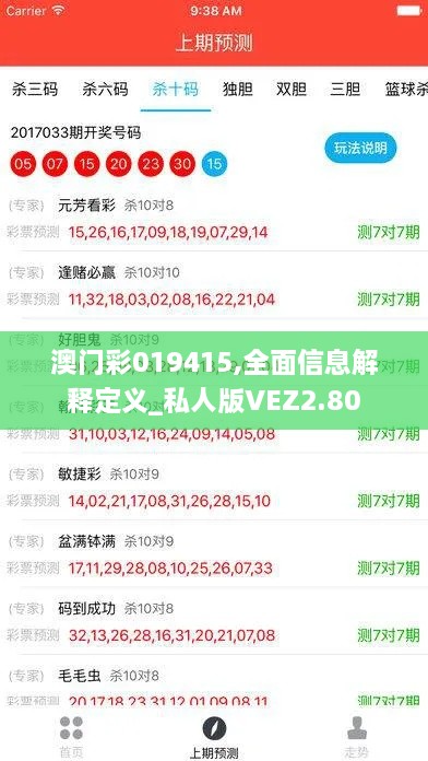 澳门彩019415,全面信息解释定义_私人版VEZ2.80