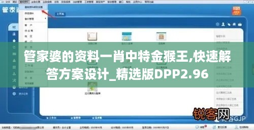 管家婆的资料一肖中特金猴王,快速解答方案设计_精选版DPP2.96