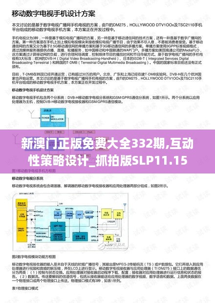 新澳门正版免费大全332期,互动性策略设计_抓拍版SLP11.15