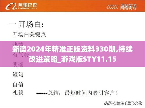 新澳2024年精准正版资料330期,持续改进策略_游戏版STY11.15