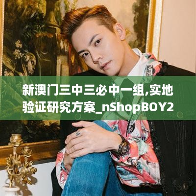 新澳门三中三必中一组,实地验证研究方案_nShopBOY2.98