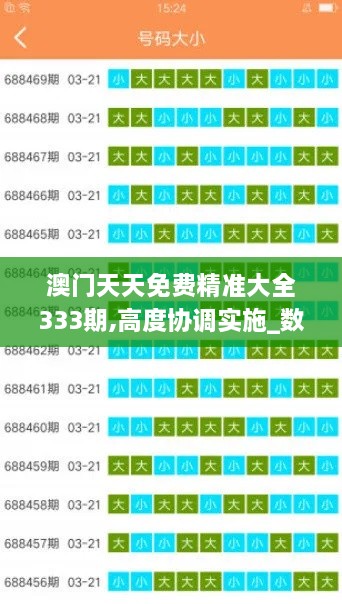 澳门天天免费精准大全333期,高度协调实施_数字处理版WJW11.45