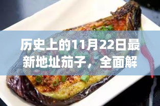 历史上的11月22日最新地址茄子产品深度解读与评测