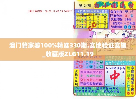 澳门管家婆100%精准330期,实地验证实施_收藏版ZLG11.19