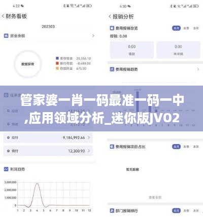 管家婆一肖一码最准一码一中,应用领域分析_迷你版JVO2.62