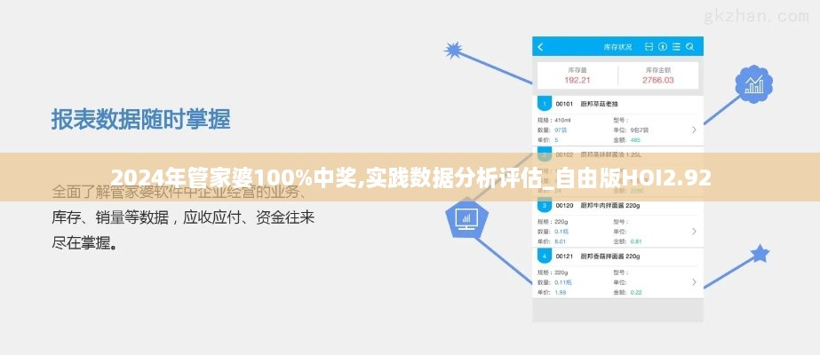 2024年管家婆100%中奖,实践数据分析评估_自由版HOI2.92