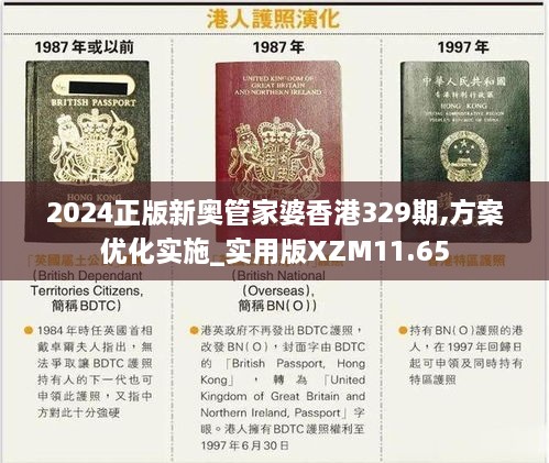 2024正版新奥管家婆香港329期,方案优化实施_实用版XZM11.65