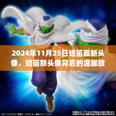 短笛新头像背后的故事，友情、陪伴与爱的温馨篇章（2024年11月25日）